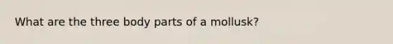 What are the three body parts of a mollusk?