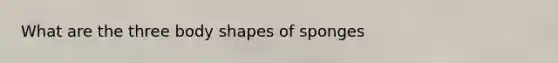 What are the three body shapes of sponges