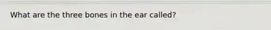 What are the three bones in the ear called?