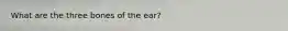 What are the three bones of the ear?