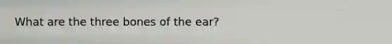 What are the three bones of the ear?