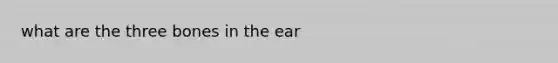 what are the three bones in the ear