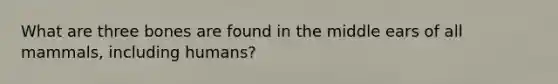 What are three bones are found in the middle ears of all mammals, including humans?