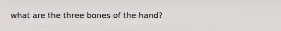 what are the three bones of the hand?