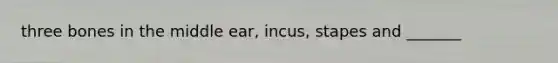 three bones in the middle ear, incus, stapes and _______