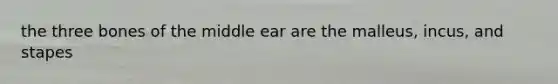 the three bones of the middle ear are the malleus, incus, and stapes