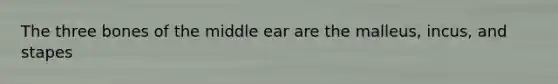 The three bones of the middle ear are the malleus, incus, and stapes