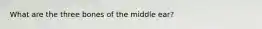 What are the three bones of the middle ear?