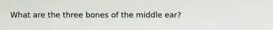 What are the three bones of the middle ear?