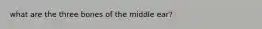 what are the three bones of the middle ear?
