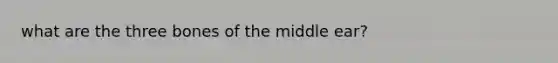 what are the three bones of the middle ear?