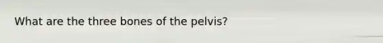 What are the three bones of the pelvis?