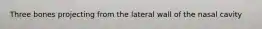 Three bones projecting from the lateral wall of the nasal cavity