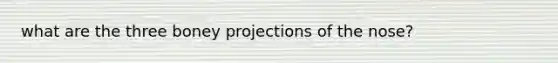 what are the three boney projections of the nose?