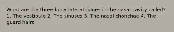 What are the three bony lateral ridges in the nasal cavity called? 1. The vestibule 2. The sinuses 3. The nasal chonchae 4. The guard hairs