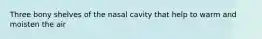 Three bony shelves of the nasal cavity that help to warm and moisten the air