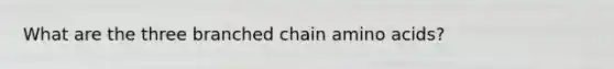 What are the three branched chain amino acids?