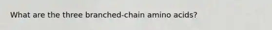 What are the three branched-chain amino acids?