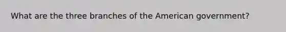 What are the three branches of the American government?