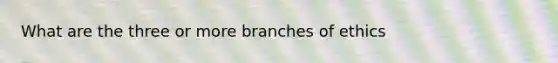 What are the three or more branches of ethics