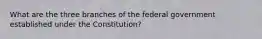 What are the three branches of the federal government established under the Constitution?