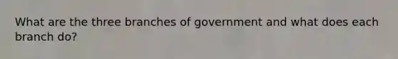 What are the three branches of government and what does each branch do?