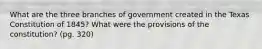 What are the three branches of government created in the Texas Constitution of 1845? What were the provisions of the constitution? (pg. 320)