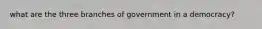 what are the three branches of government in a democracy?