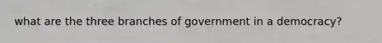 what are the three branches of government in a democracy?