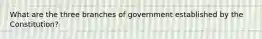 What are the three branches of government established by the Constitution?