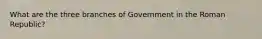 What are the three branches of Government in the Roman Republic?