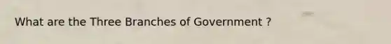 What are the Three Branches of Government ?