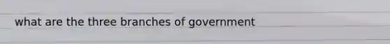 what are the three branches of government