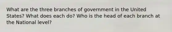 What are the three branches of government in the United States? What does each do? Who is the head of each branch at the National level?