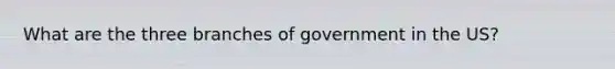 What are the three branches of government in the US?