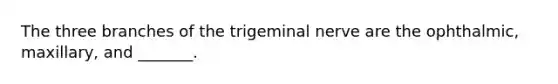 The three branches of the trigeminal nerve are the ophthalmic, maxillary, and _______.