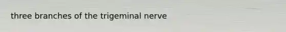 three branches of the trigeminal nerve