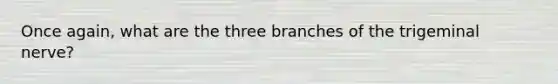 Once again, what are the three branches of the trigeminal nerve?