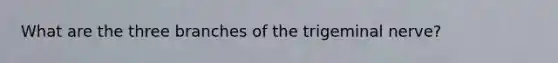 What are the three branches of the trigeminal nerve?