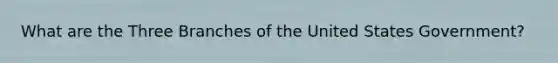 What are the Three Branches of the United States Government?