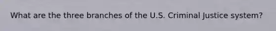 What are the three branches of the U.S. Criminal Justice system?