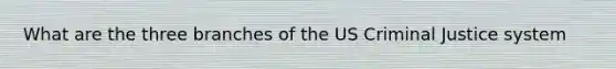 What are the three branches of the US Criminal Justice system