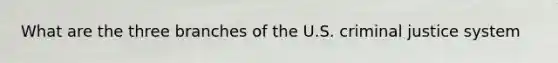 What are the three branches of the U.S. criminal justice system