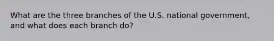 What are the three branches of the U.S. national government, and what does each branch do?