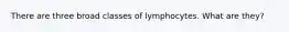 There are three broad classes of lymphocytes. What are they?