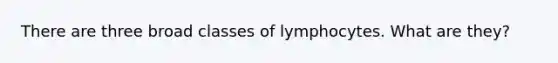 There are three broad classes of lymphocytes. What are they?