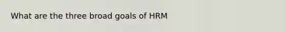 What are the three broad goals of HRM