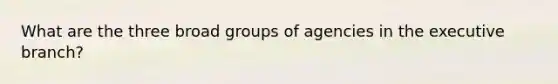 What are the three broad groups of agencies in the executive branch?