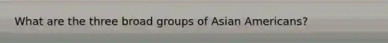 What are the three broad groups of Asian Americans?