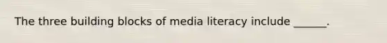 The three building blocks of media literacy include ______.